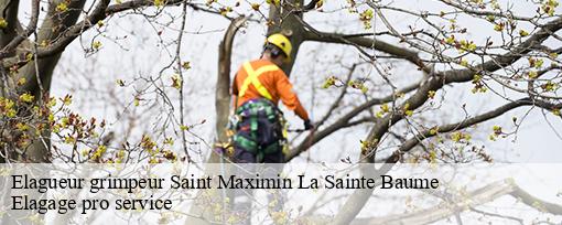 Elagueur grimpeur  saint-maximin-la-sainte-baume-83470 Elagage pro service