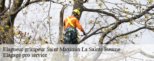 Elagueur grimpeur saint-maximin-la-sainte-baume-83470 Elagage pro service