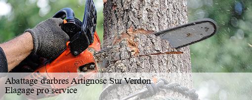 Abattage d'arbres  artignosc-sur-verdon-83630 Elagage pro service