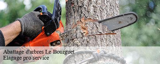 Abattage d'arbres le-bourguet-83840 Elagage pro service