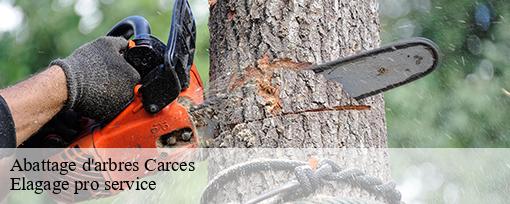 Abattage d'arbres carces-83570 Elagage pro service