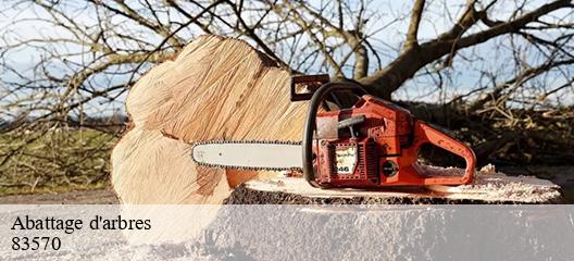 Abattage d'arbres 83570