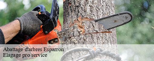 Abattage d'arbres  esparron-83560 Elagage pro service