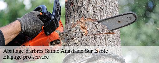 Abattage d'arbres  sainte-anastasie-sur-issole-83136 Elagage pro service