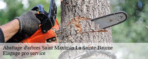 Abattage d'arbres saint-maximin-la-sainte-baume-83470 Elagage pro service