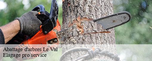 Abattage d'arbres le-val-83143 Elagage pro service