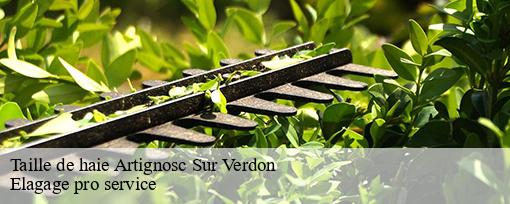Taille de haie artignosc-sur-verdon-83630 Elagage pro service