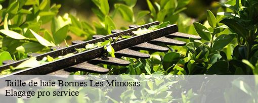 Taille de haie  bormes-les-mimosas-83230 Elagage pro service