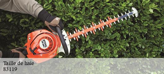 Taille de haie 83119