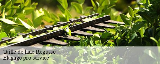 Taille de haie regusse-83630 Elagage pro service