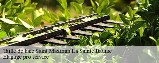 Taille de haie  saint-maximin-la-sainte-baume-83470 Elagage pro service