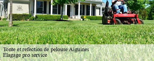 Tonte et refection de pelouse  aiguines-83630 Elagage pro service