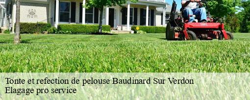 Tonte et refection de pelouse baudinard-sur-verdon-83630 Elagage pro service