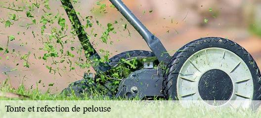 Tonte et refection de pelouse