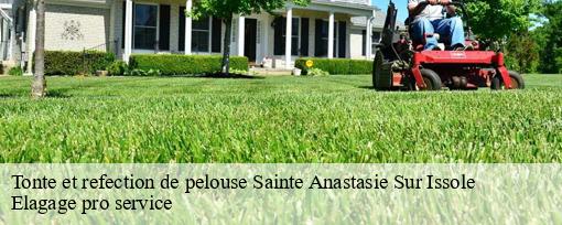 Tonte et refection de pelouse sainte-anastasie-sur-issole-83136 Elagage pro service