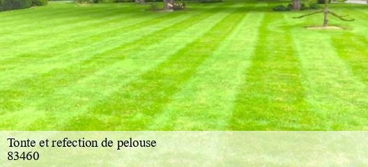 Tonte et refection de pelouse 83460