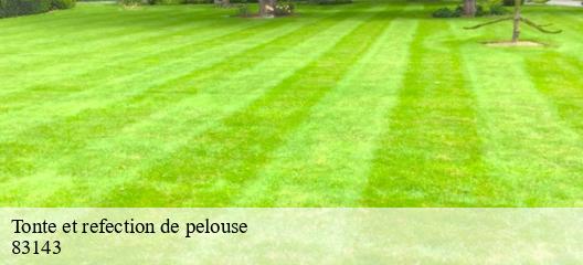 Tonte et refection de pelouse 83143