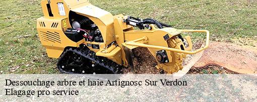 Dessouchage arbre et haie  artignosc-sur-verdon-83630 Elagage pro service