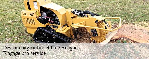 Dessouchage arbre et haie  artigues-83560 Elagage pro service