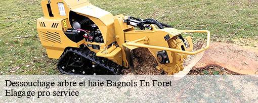 Dessouchage arbre et haie  bagnols-en-foret-83600 Elagage pro service