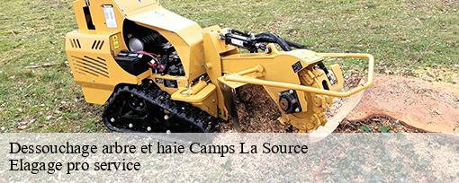 Dessouchage arbre et haie  camps-la-source-83170 Elagage pro service