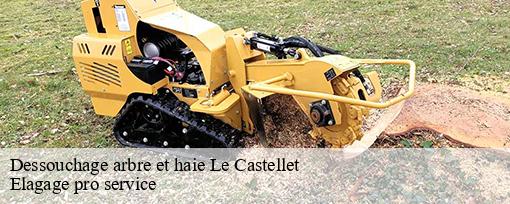 Dessouchage arbre et haie  le-castellet-83330 Elagage pro service
