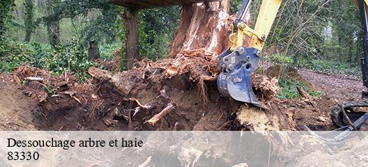 Dessouchage arbre et haie 83330