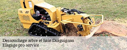 Dessouchage arbre et haie  draguignan-83300 Elagage pro service
