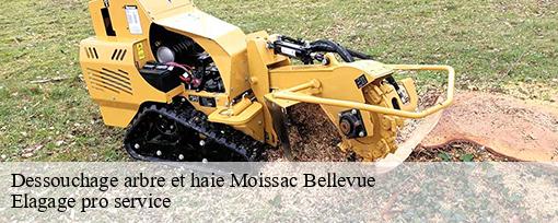 Dessouchage arbre et haie  moissac-bellevue-83630 Elagage pro service