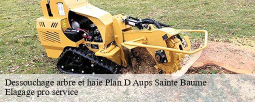 Dessouchage arbre et haie plan-d-aups-sainte-baume-83640 Elagage pro service
