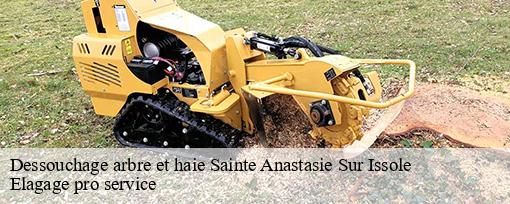 Dessouchage arbre et haie  sainte-anastasie-sur-issole-83136 Elagage pro service