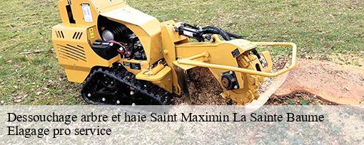 Dessouchage arbre et haie  saint-maximin-la-sainte-baume-83470 Elagage pro service