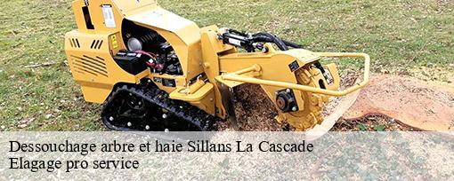 Dessouchage arbre et haie sillans-la-cascade-83690 Elagage pro service