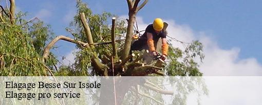 Elagage besse-sur-issole-83890 Elagage pro service