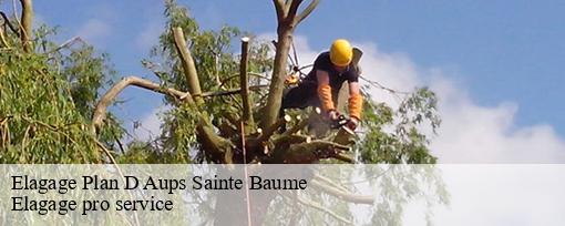 Elagage plan-d-aups-sainte-baume-83640 Elagage pro service