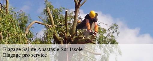 Elagage  sainte-anastasie-sur-issole-83136 Elagage pro service