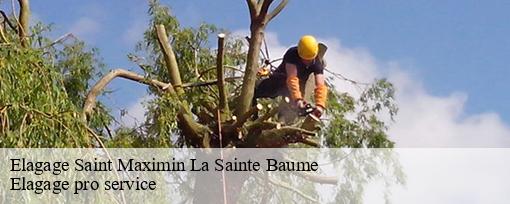 Elagage  saint-maximin-la-sainte-baume-83470 Elagage pro service