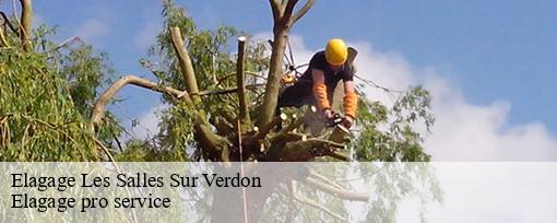 Elagage les-salles-sur-verdon-83630 Elagage pro service