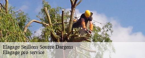 Elagage seillons-source-dargens-83470 Elagage pro service