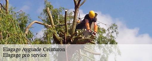 Elagage ayguade-ceinturon-83400 Elagage pro service