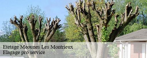 Etetage  meounes-les-montrieux-83136 Elagage pro service