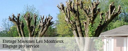 Etetage meounes-les-montrieux-83136 Elagage pro service