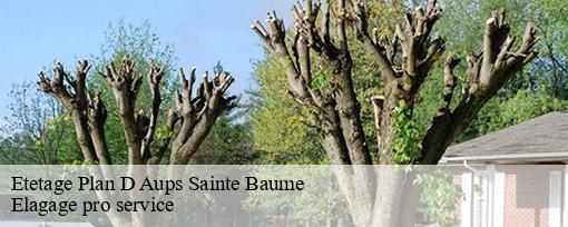 Etetage  plan-d-aups-sainte-baume-83640 Elagage pro service