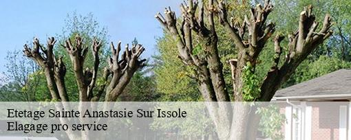 Etetage  sainte-anastasie-sur-issole-83136 Elagage pro service