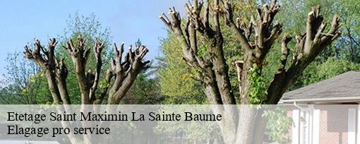Etetage  saint-maximin-la-sainte-baume-83470 Elagage pro service