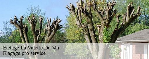 Etetage la-valette-du-var-83160 Elagage pro service