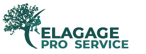 elagage-elagage-pro-service